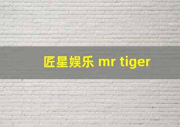 匠星娱乐 mr tiger